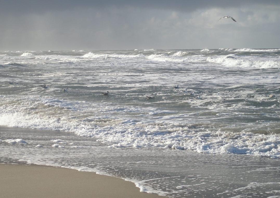 Unknown Artist Vesterhavet 4